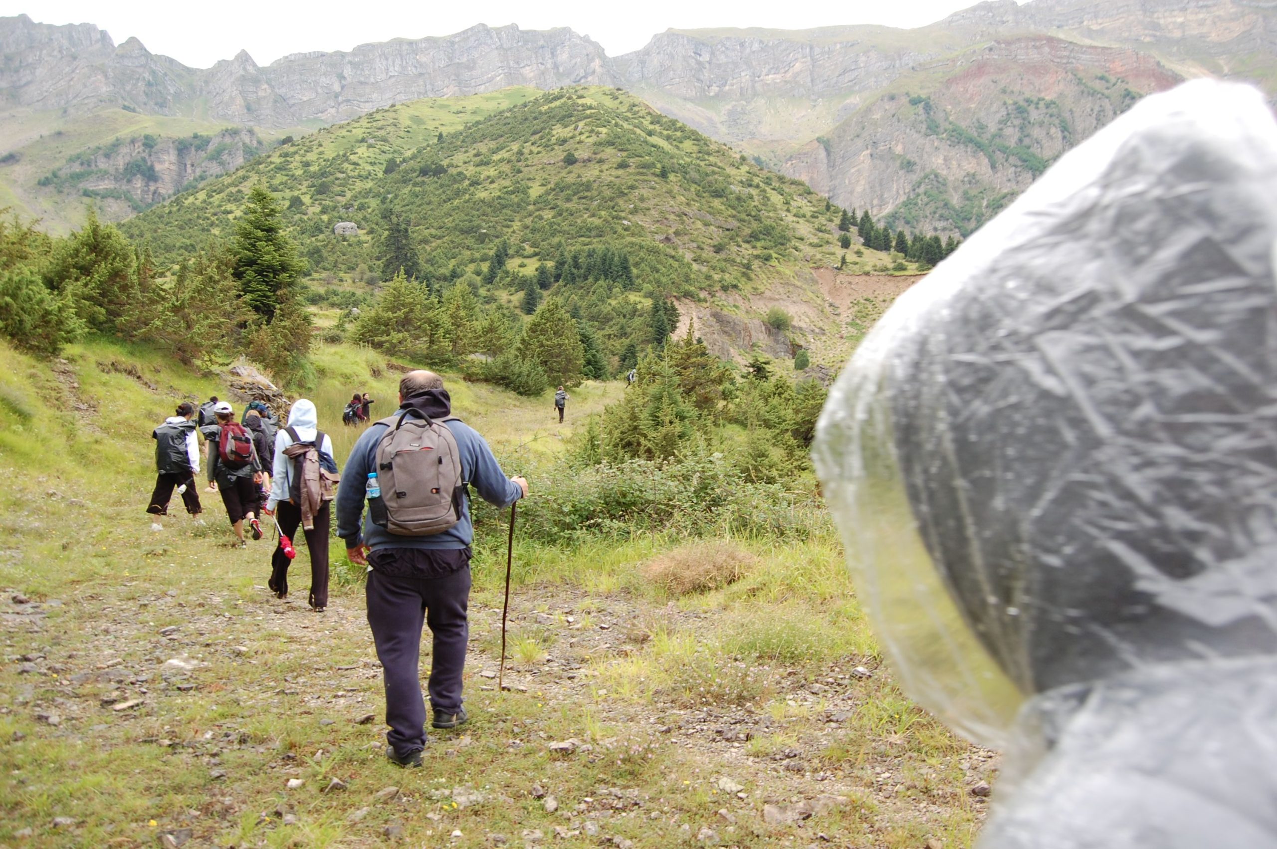 Botanical research of AMKE Foundation for Cleon Tsetis at Tzoumerka